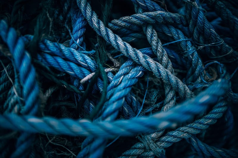 Industry Focus